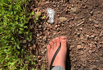 Biofoot Sticker