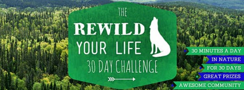 Rewild Your Life: Installment #1