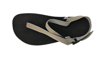#color-charcoal-lite