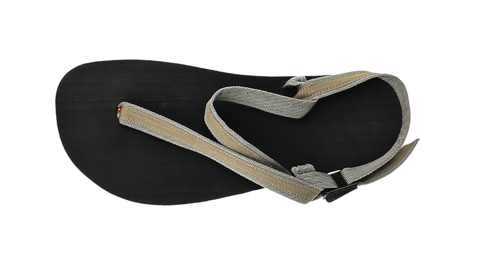 #color-charcoal-lite