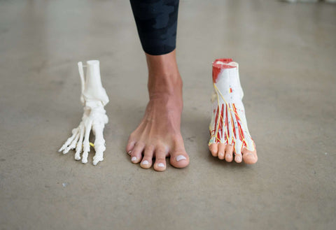 Combating Hammertoes