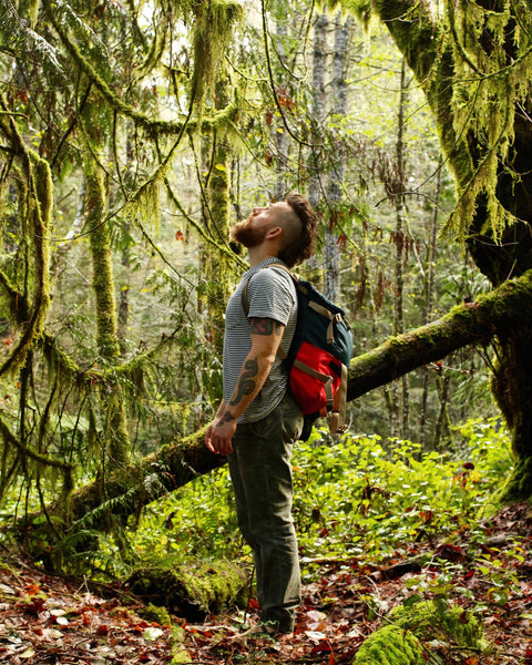 Natural Movement Q&A with Stefano Tripney MovNat® Certified Trainer