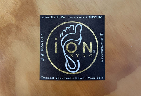 iON SYNC® Stickers (x2)