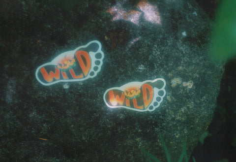 Rewild Your Sole Sticker