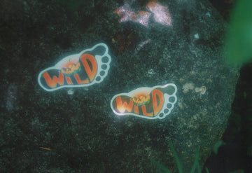 rewild your wild sole sticker