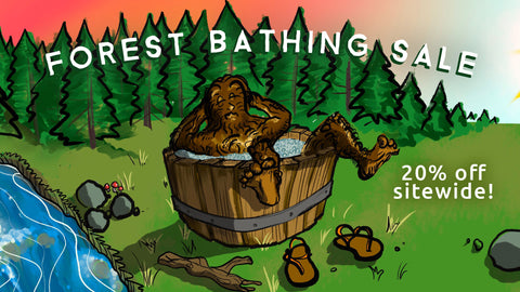 Forest Bathing: The Benefits of Nature Forest Therapy