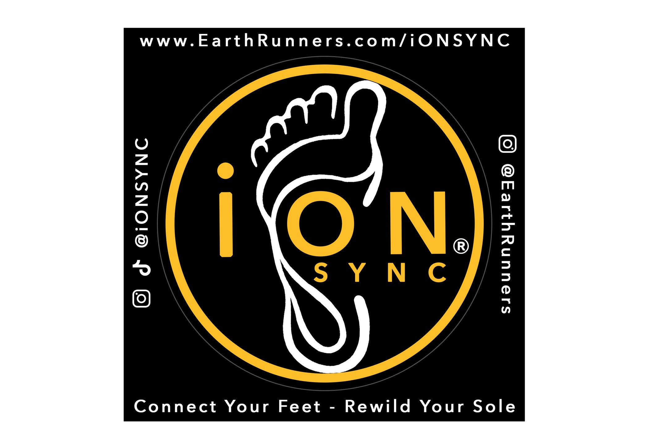 iON SYNC® Stickers (x2) | Symbolize Your Connection to the Earth ...