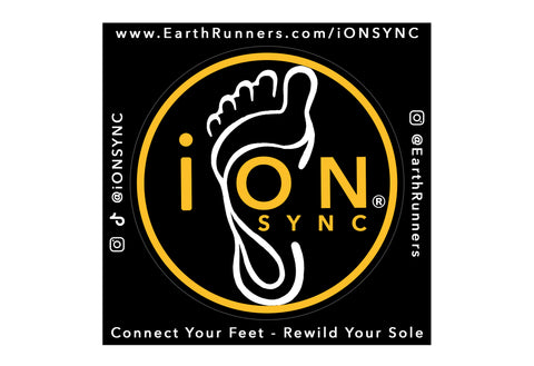 iON SYNC® Stickers (x2)